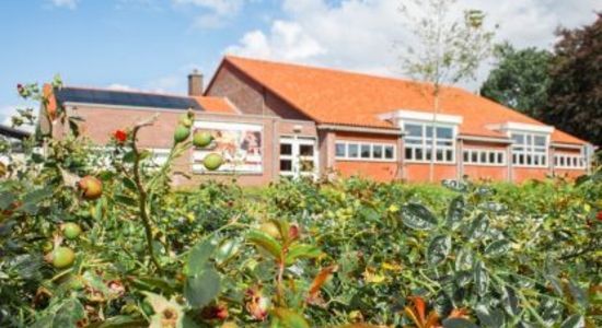 Dakpannen renovatie voor het BaronTheater