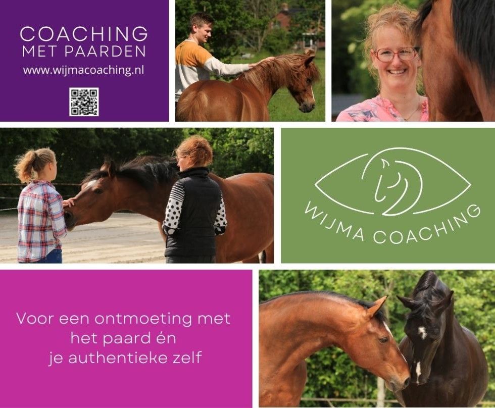 Uitgelicht - Wijma Coaching